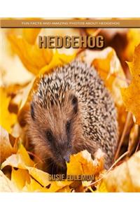Hedgehog: Fun Facts and Amazing Photos about Hedgehog