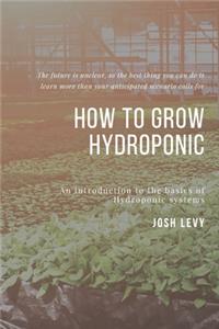 How To Grow Hydroponic