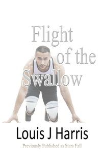 Flight Of The Swallow