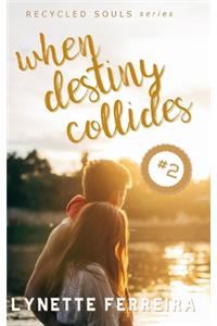 When Destiny Collides (Recycled Souls Book Two)