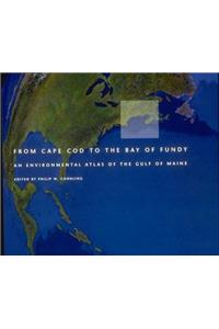 From Cape Cod to the Bay of Fundy