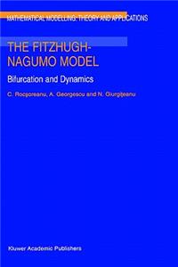 Fitzhugh-Nagumo Model