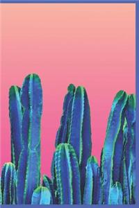 Sunny Cactus Landscape Journal