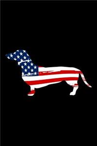 Dog American Flag