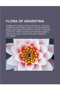 Flora of Argentina: Verbascum Thapsus, Passiflora Edulis, Valdivian Temperate Rain Forest, Agriculture in Argentina, Magellanic Subpolar F