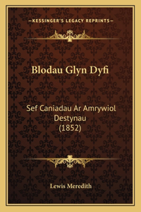 Blodau Glyn Dyfi