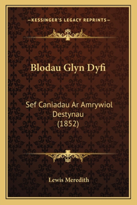 Blodau Glyn Dyfi