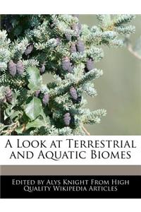 A Look at Terrestrial and Aquatic Biomes