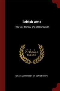 British Ants