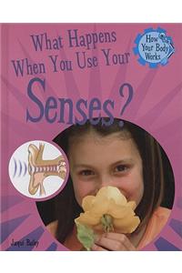What Happens When You Use Your Senses?