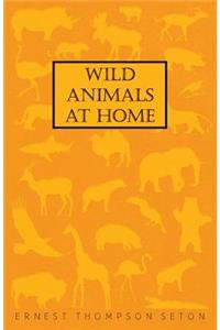 Wild Animals at Home