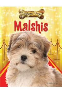 Malshis