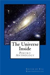 Universe Inside