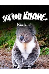 Koalas