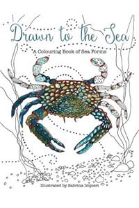 Drawn to the Sea