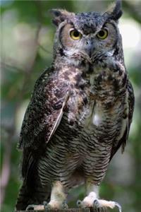 Owl Journal