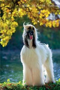 Afghan Hound 4th Notebook Record Journal, Diary, Special Memories, To Do List, Academic Notepad, and Much More