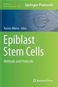 Epiblast Stem Cells