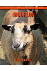 Mouflon