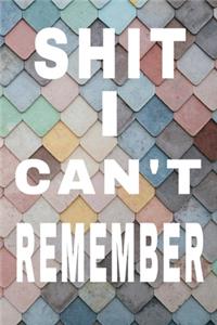 Shit I Can't Remember