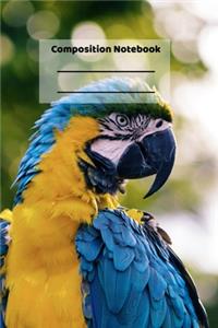 Composition Notebook