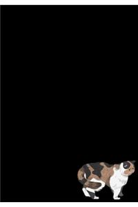 Exotic Shorthair Cat Journal