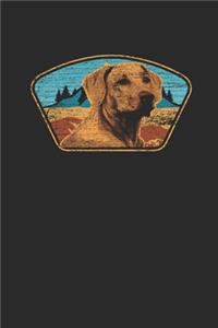 Labrador With Mountains Background