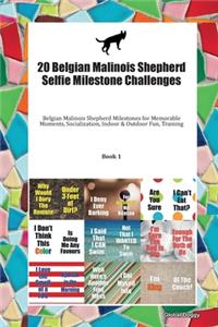20 Belgian Malinois Shepherd Selfie Milestone Challenges