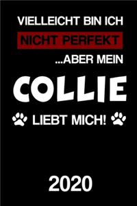 Collie 2020: Kalender Lustiger Hunde Spruch Terminplaner Frauchen Herrchen Terminkalender Wochenplaner, Monatsplaner & Jahresplaner für Hundefrauchen & Hundebesi