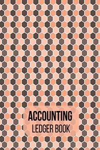 Accounting Ledger book