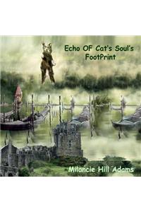 Echo of Cat's Soul's Footprint