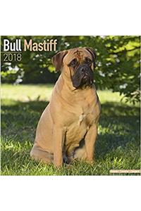 Bull Mastiff Calendar 2018