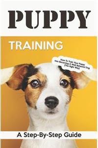 Puppy Training