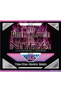 The Brilliance of Netezza