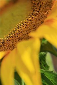 Sunflower Notebook