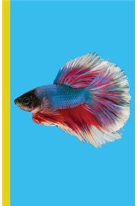 Vibrant Fish Dot Grid Journal Notebook