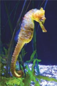 Yellow Seahorse - Lined Notebook with Margins