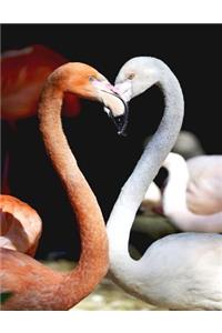 Flamingo Bullet Journal