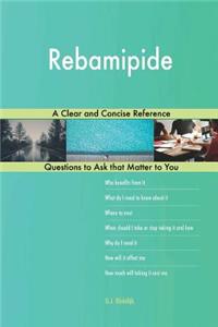 Rebamipide; A Clear and Concise Reference