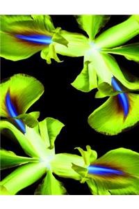 Green Iris Notebook