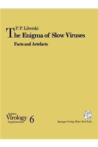 Enigma of Slow Viruses