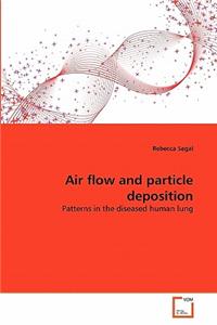 Air flow and particle deposition