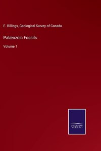 Palæozoic Fossils