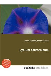 Lycium Californicum