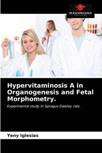 Hypervitaminosis A in Organogenesis and Fetal Morphometry.