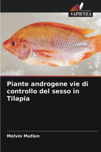 Piante androgene vie di controllo del sesso in Tilapia