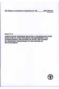 Rapport de La Consultation Technique Relative A L'Elaboration D'Une Structure Et D'Une Strategie D'Etablissement