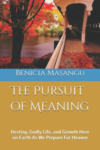 Pursuit of Meaning