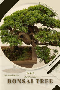 Bonsai Tree