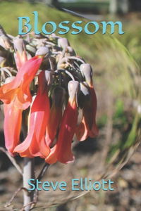 Blossom